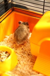 Cute little fluffy hamster playing in cage