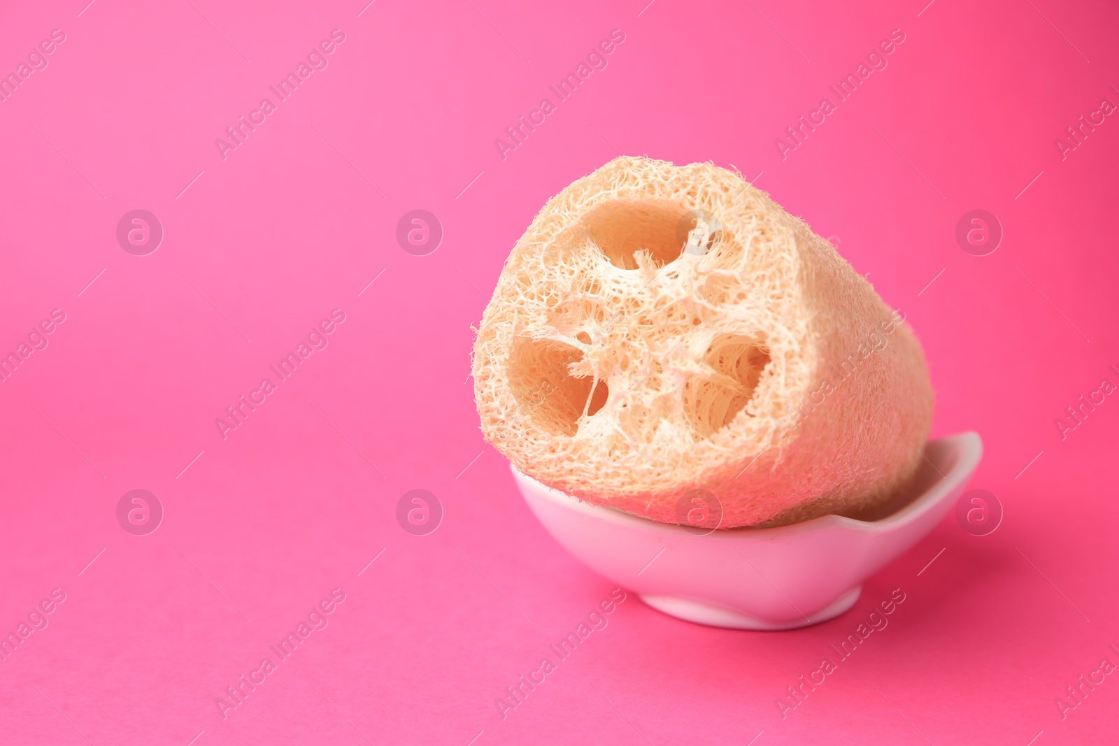 Photo of Natural loofah sponge in holder on pink background, space for text