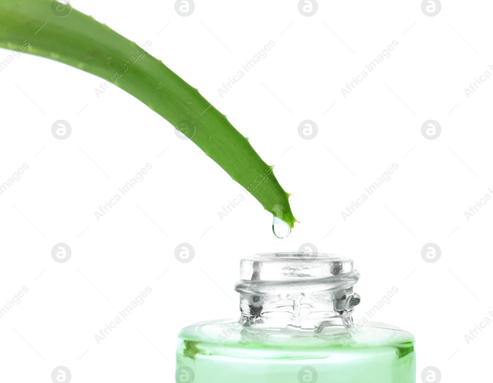 Photo of Aloe vera juice dripping from plant into bottle