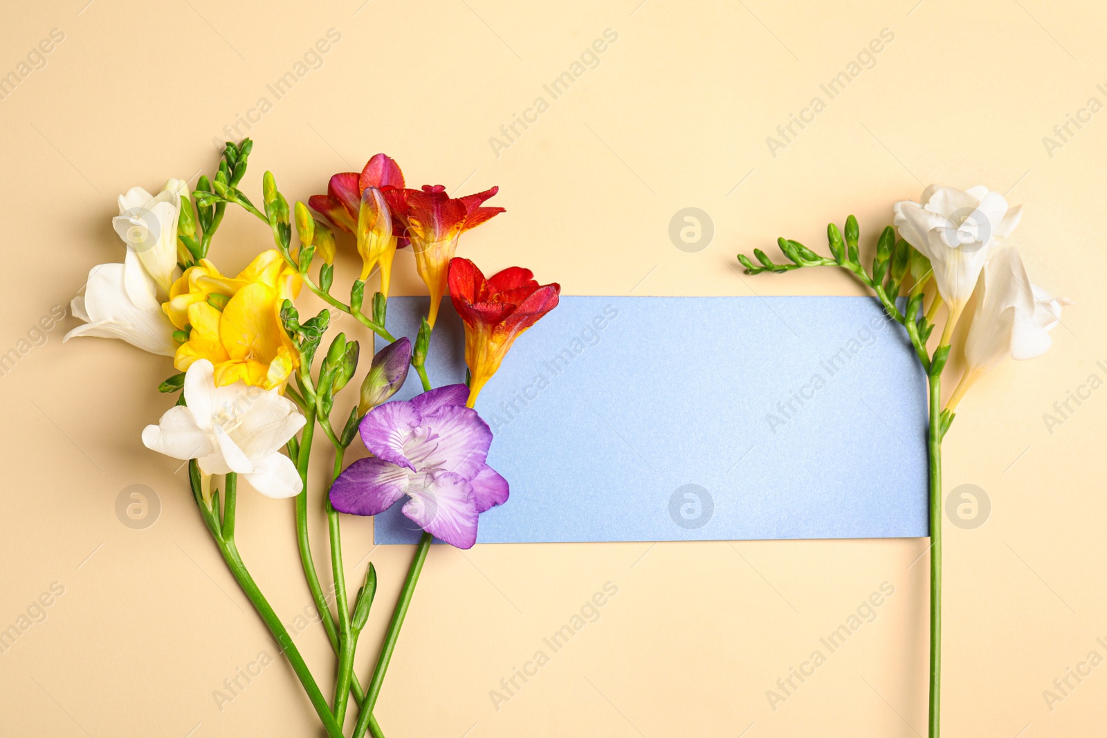 Photo of Beautiful spring freesia flowers and blank card on beige background, flat lay. Space for text