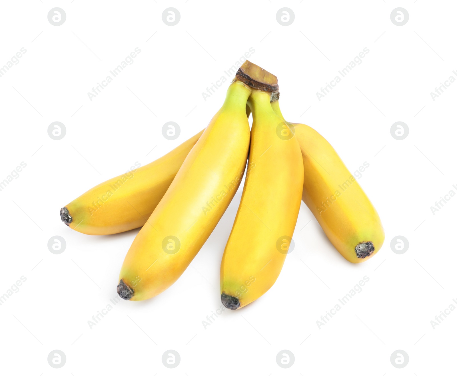 Photo of Cluster of ripe baby bananas on white background