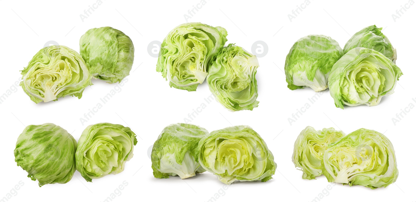 Image of Collage with fresh lettuce heads on white background