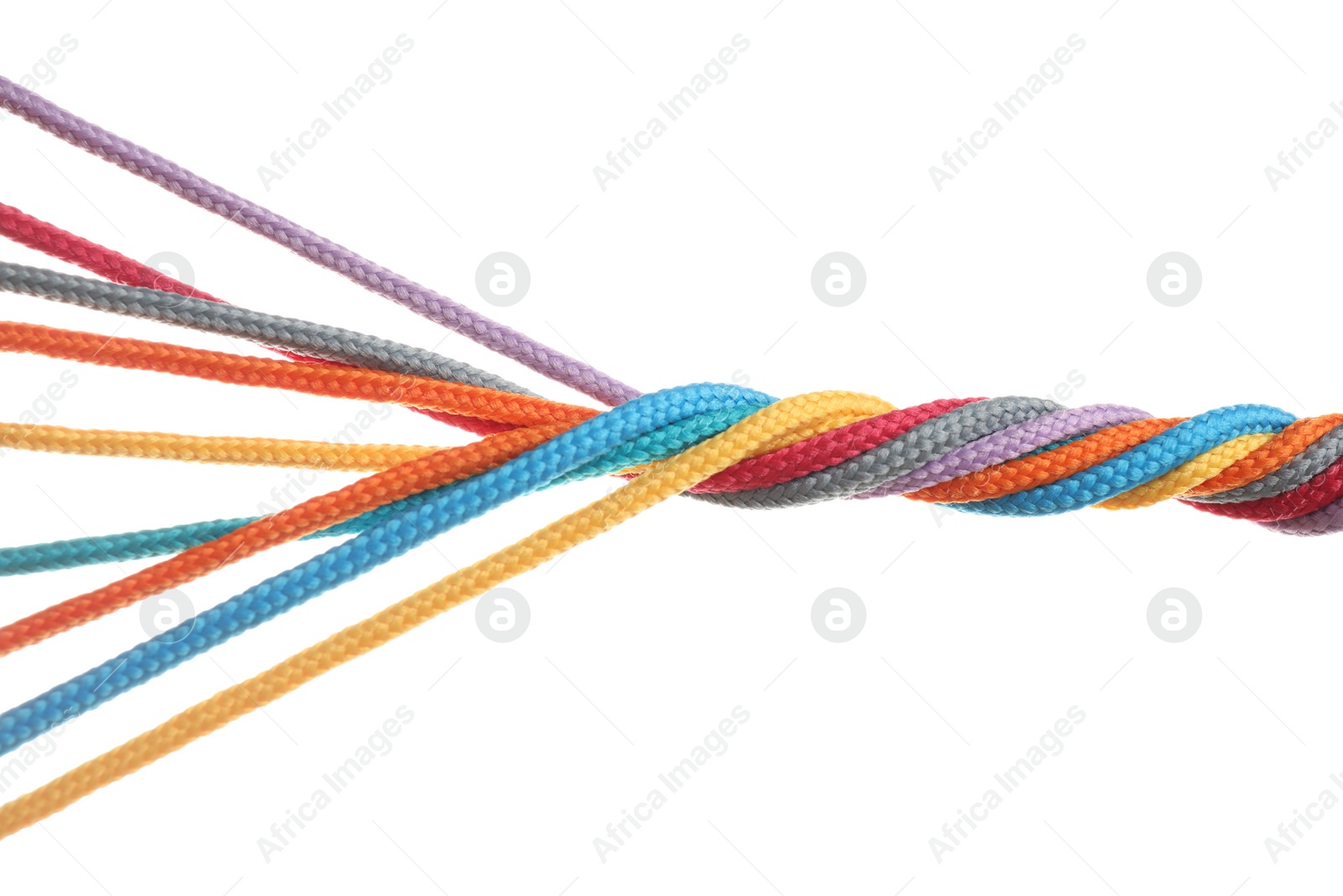 Photo of Twisted colorful ropes isolated on white. Unity concept