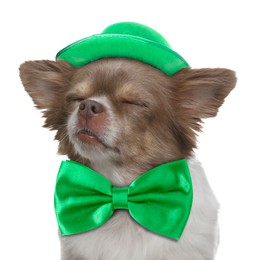 St. Patrick's day celebration. Cute Chihuahua dog with green bow tie and leprechaun hat isolated on white