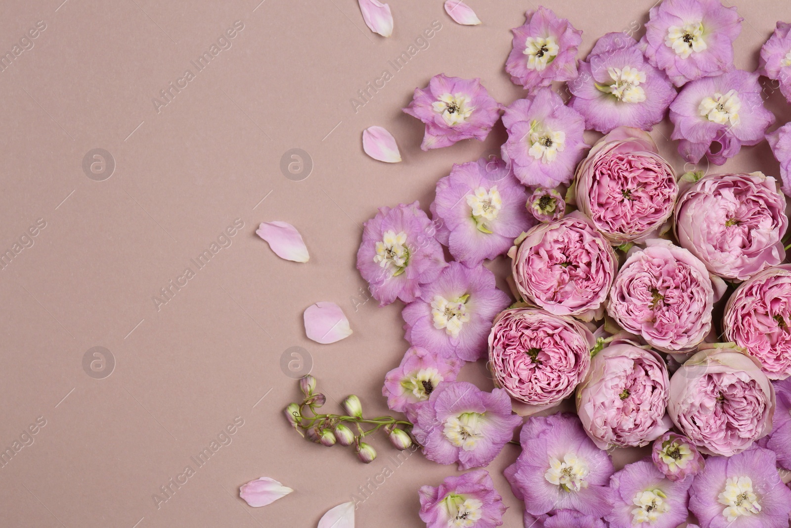 Photo of Flat lay composition with different beautiful flowers on beige background, space for text