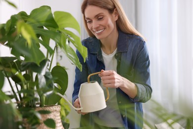 Woman watering beautiful potted houseplants at home