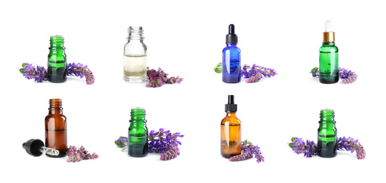 Image of Set with bottles of essential oils and fresh sage flowers on white background. Banner design