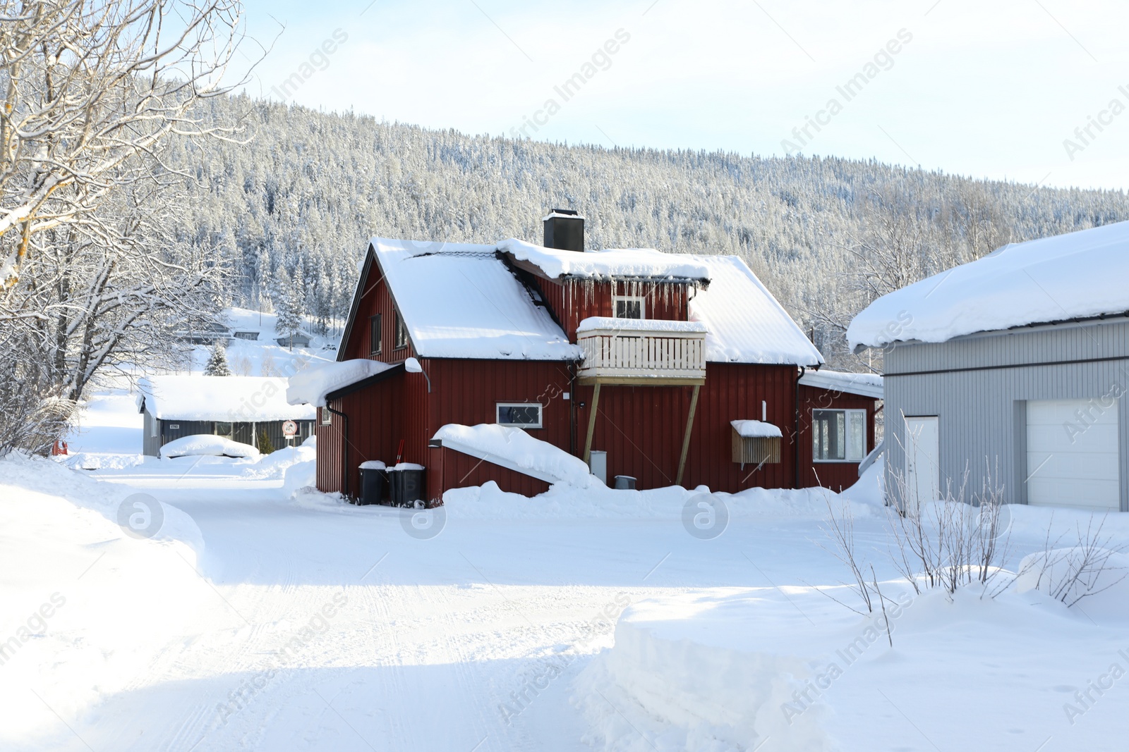 Photo of Winter landscape with wooden houses, trees and bushes on snowy day