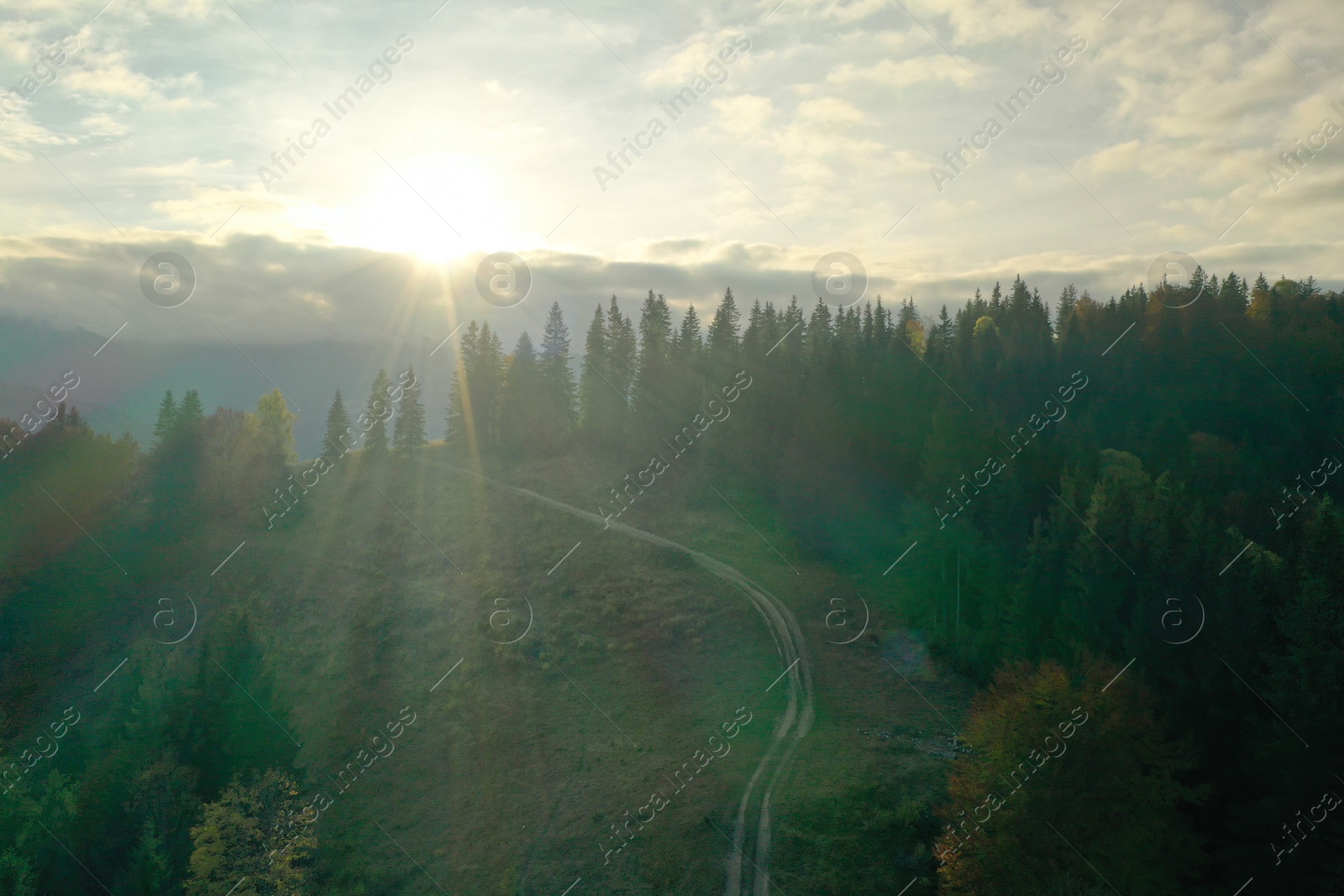 Photo of Aerial view of beautiful pathway in mountain forest at sunrise