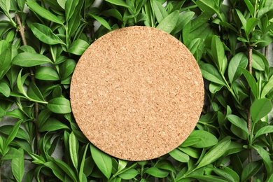 Blank cork card with space for text on green leaves