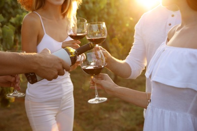 Photo of Friends clinking glasses of red wine in vineyard on sunny day, closeup