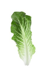 Photo of Fresh leaf of green romaine lettuce isolated on white