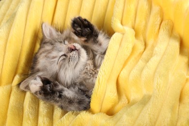 Photo of Cute kitten sleeping in soft yellow blanket, above view