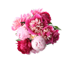 Bouquet of beautiful peonies on white background