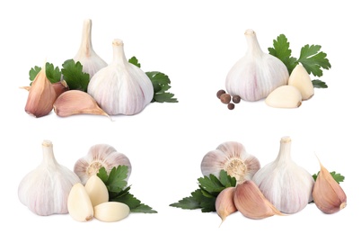 Image of Set with garlic bulbs and cloves on white background