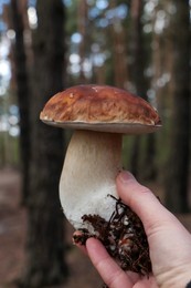 Woman holding beautiful mushroom in forest, closeup