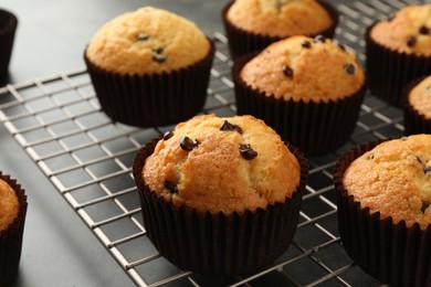 Delicious freshly baked muffins with chocolate chips on table, closeup