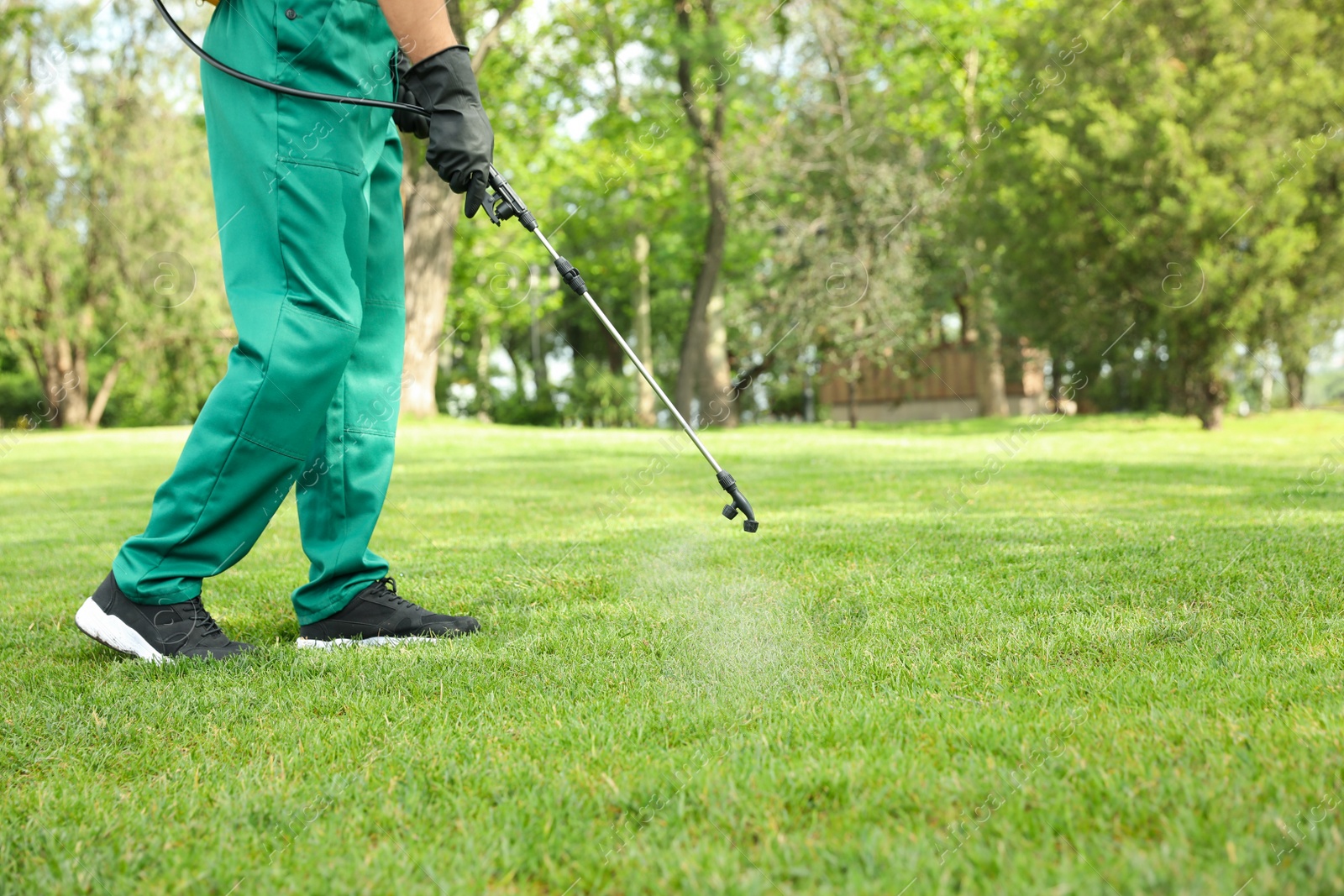 Photo of Worker spraying pesticide onto green lawn outdoors, closeup. Pest control