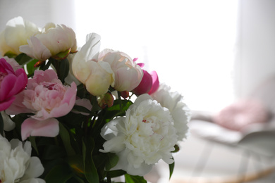 Beautiful blooming peonies against blurred background, closeup. Space for text