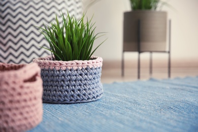 Knitted flowerpot cover with plant on carpet, space for text. Interior element