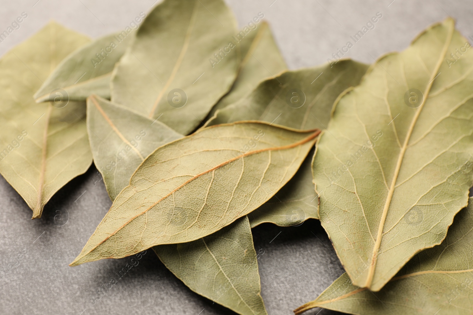 Photo of Aromatic bay leaves on light gray table, closeup