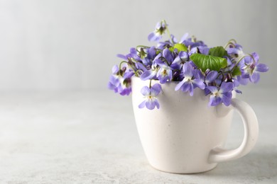 Photo of Beautiful wood violets in cup on white table, space for text. Spring flowers