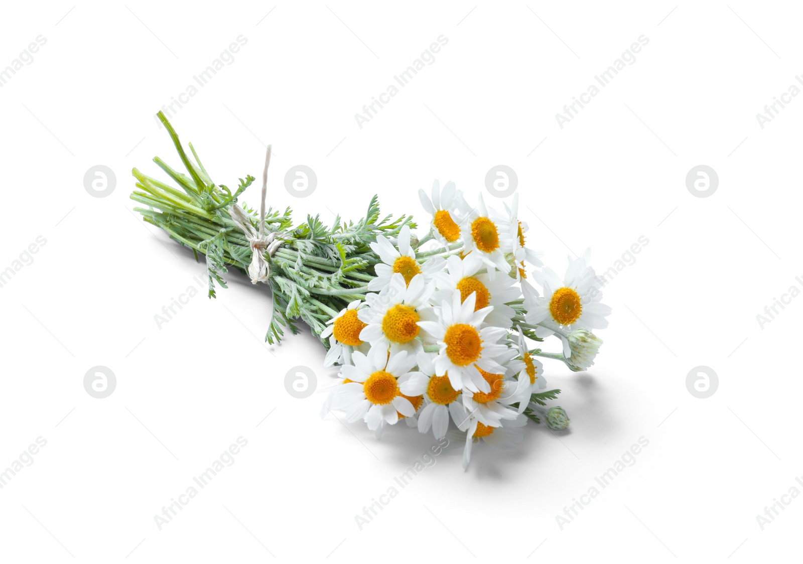 Photo of Beautiful fresh chamomile bouquet isolated on white