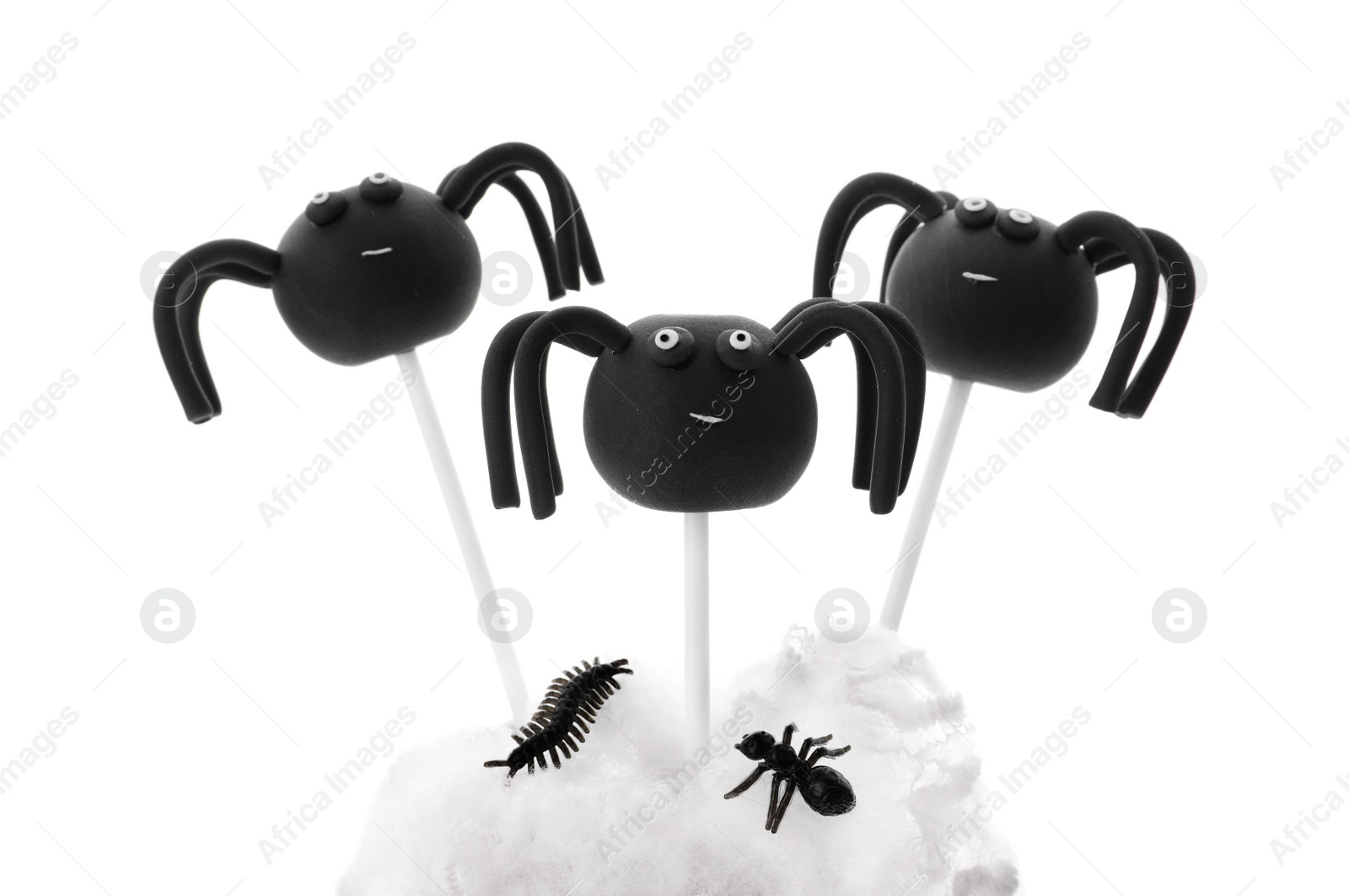 Photo of Delicious spider cake pops on white background. Halloween season