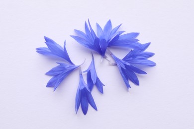 Photo of Beautiful light blue cornflower petals on white background