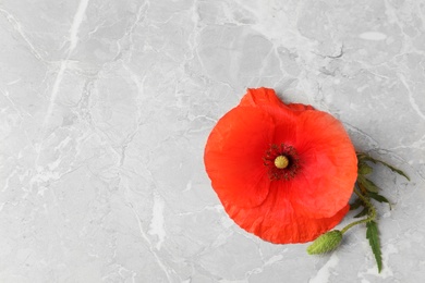 Photo of Poppy flower and leaves on grey table, top view with space for text
