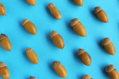 Many green acorns on light blue background, flat lay