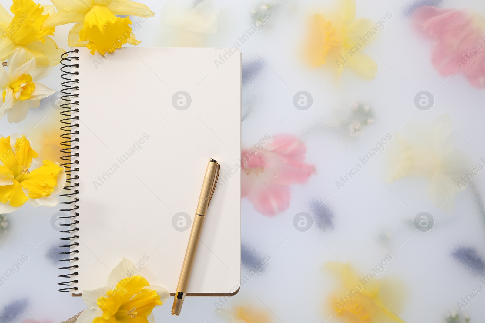 Photo of Guest list. Notebook, pen and daffodils on spring floral background, flat lay. Space for text