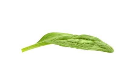 Photo of Fresh leaf of spinach isolated on white