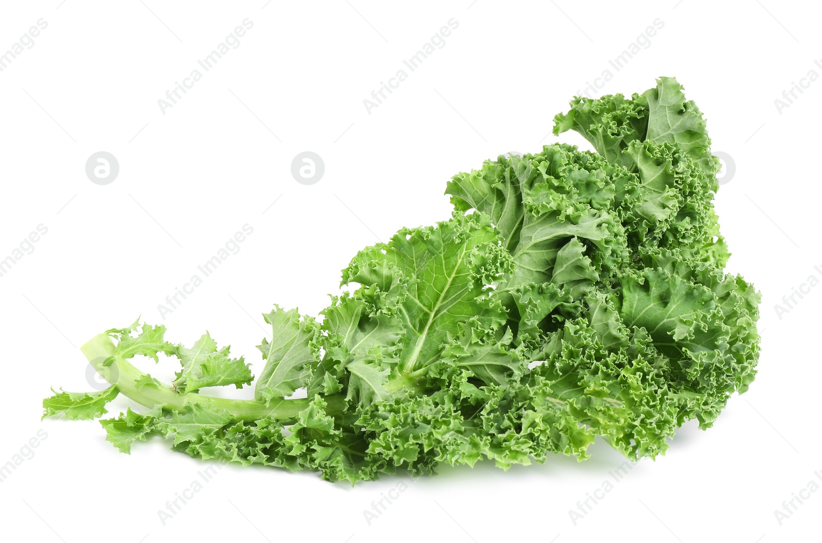 Photo of Fresh green kale leaf isolated on white