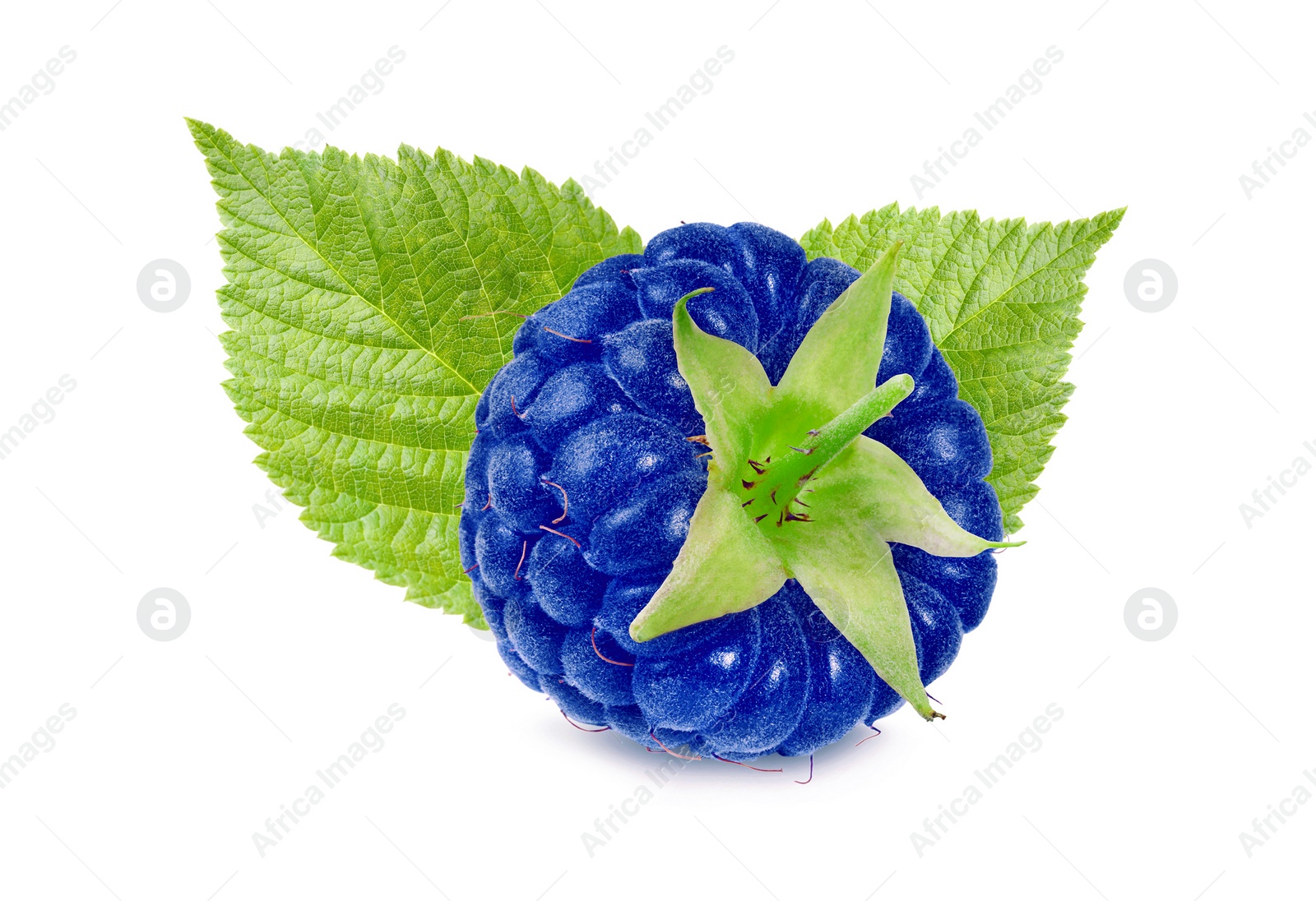 Image of Fresh blue raspberry and green leaves isolated on white