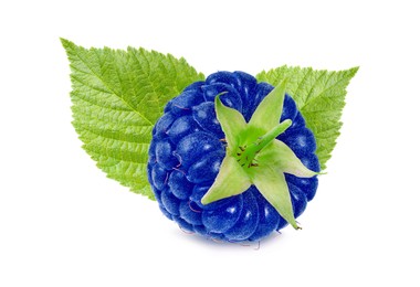 Image of Fresh blue raspberry and green leaves isolated on white