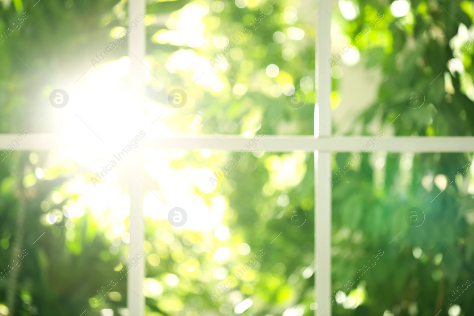 Photo of Blurred view through window on garden in morning