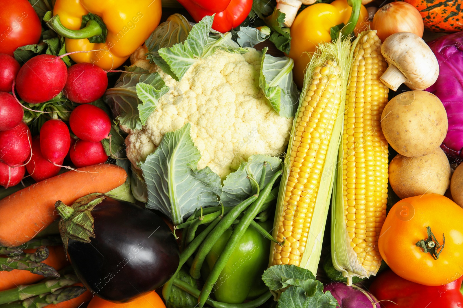 Photo of Assortment of fresh colorful vegetables, closeup. Healthy food