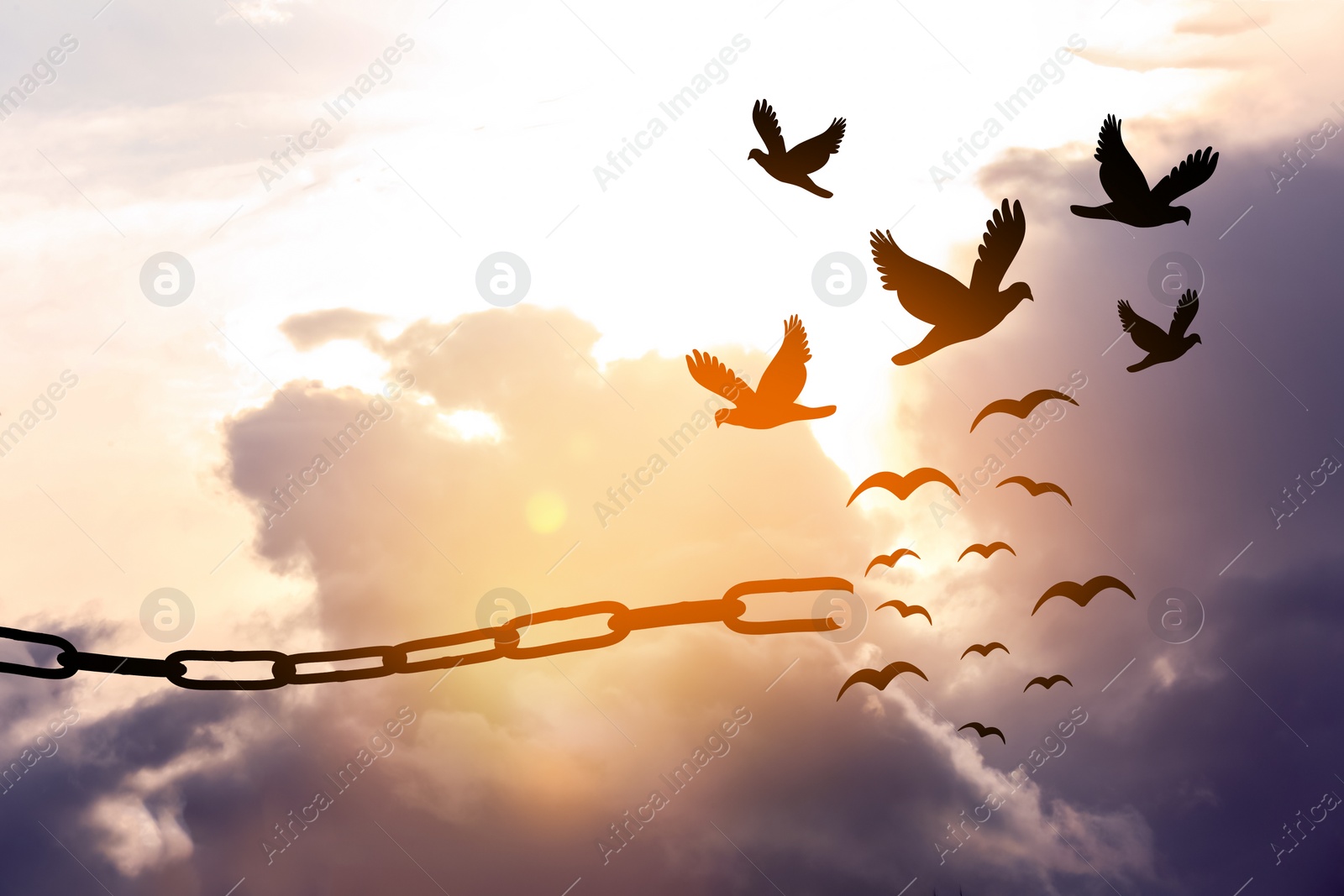 Image of Freedom concept. Silhouettes of broken chain and birds flying in sky