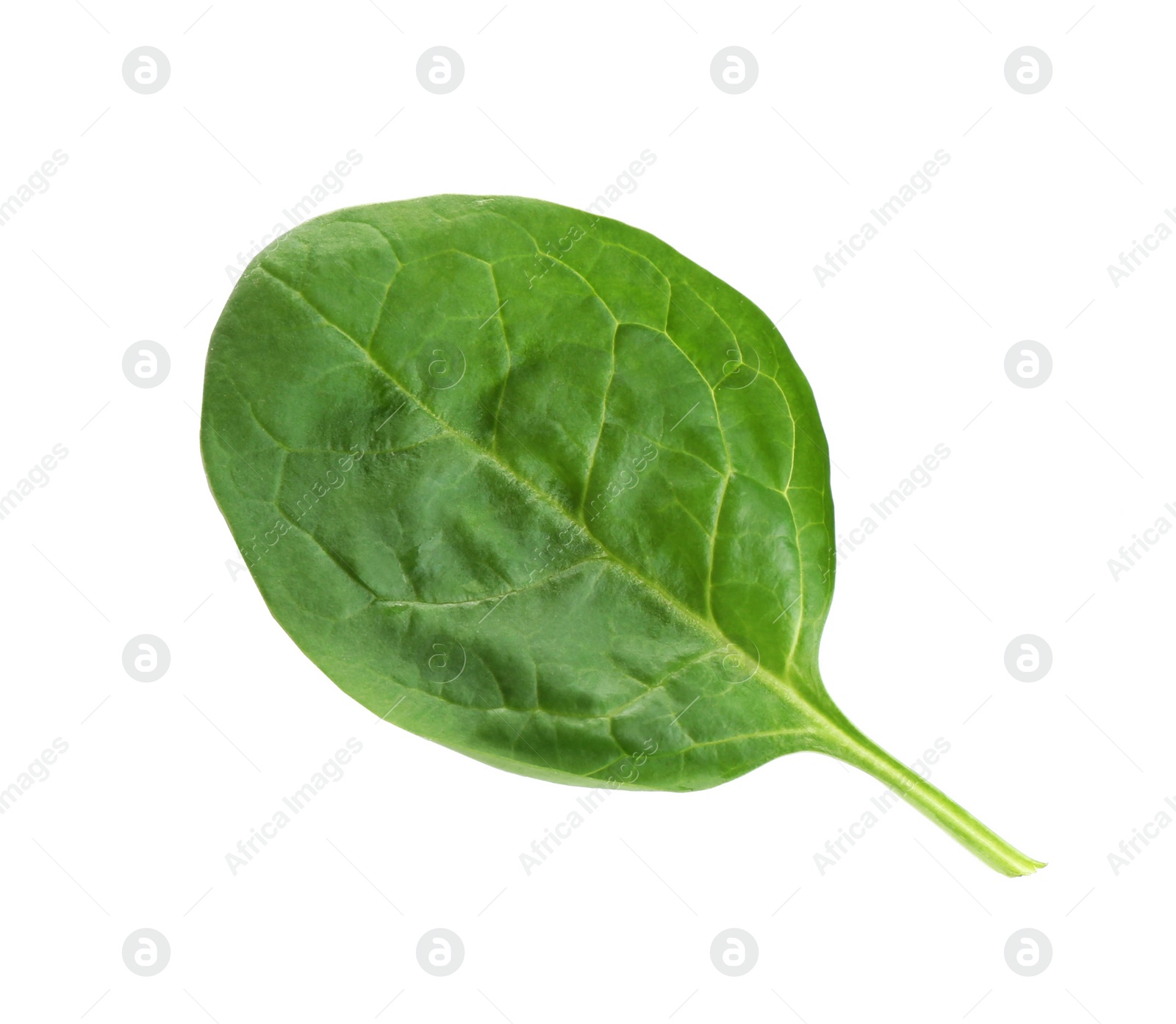 Photo of Fresh green healthy baby spinach leaf isolated on white, top view