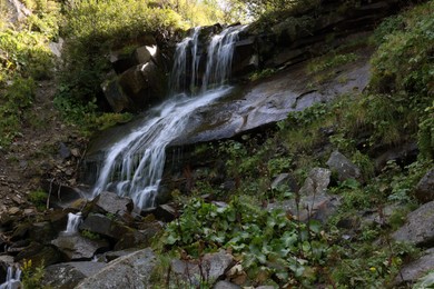 Photo of Picturesque view of mountain waterfall and green plants