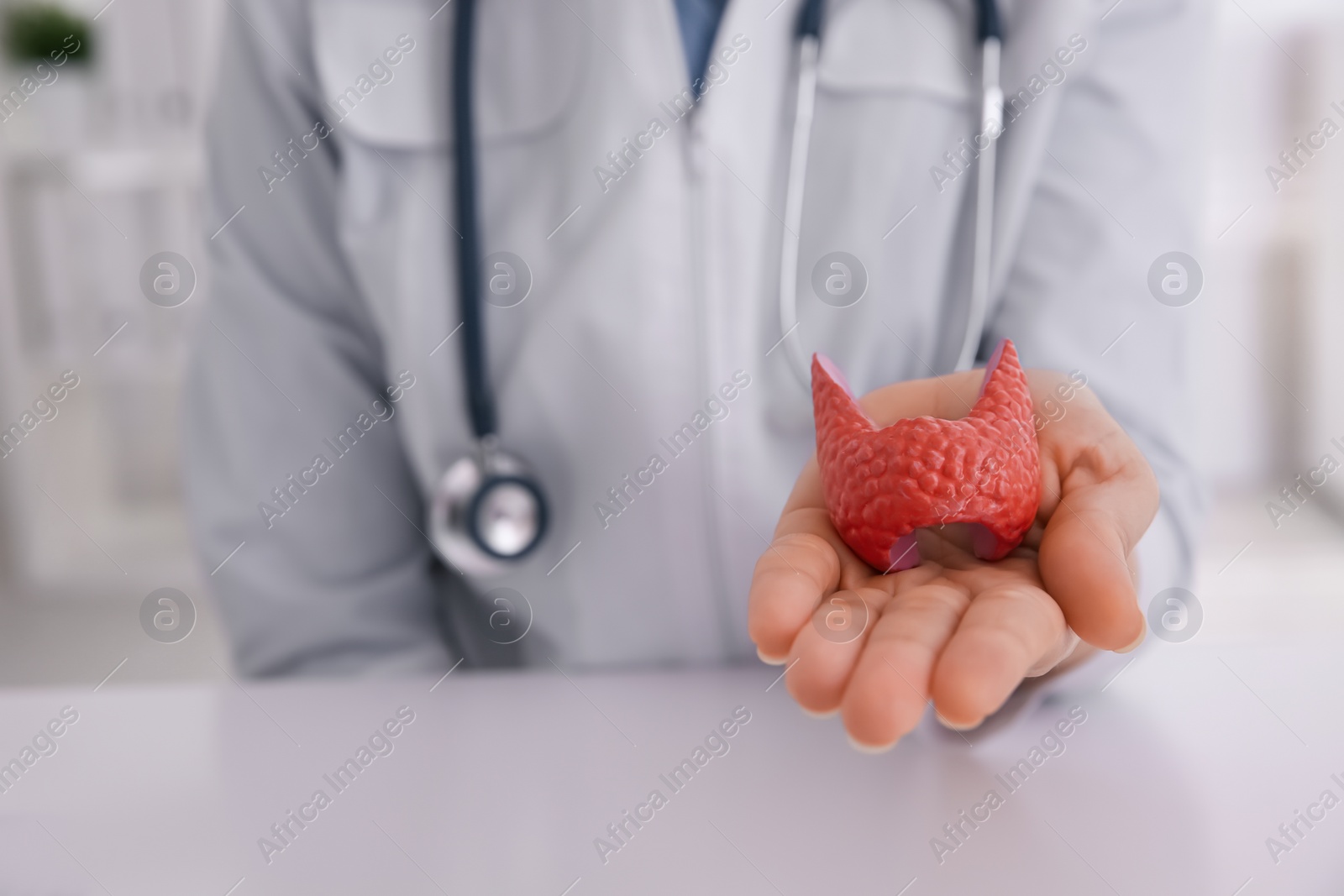 Photo of Doctor holding thyroid gland model at table indoors, closeup. Space for text