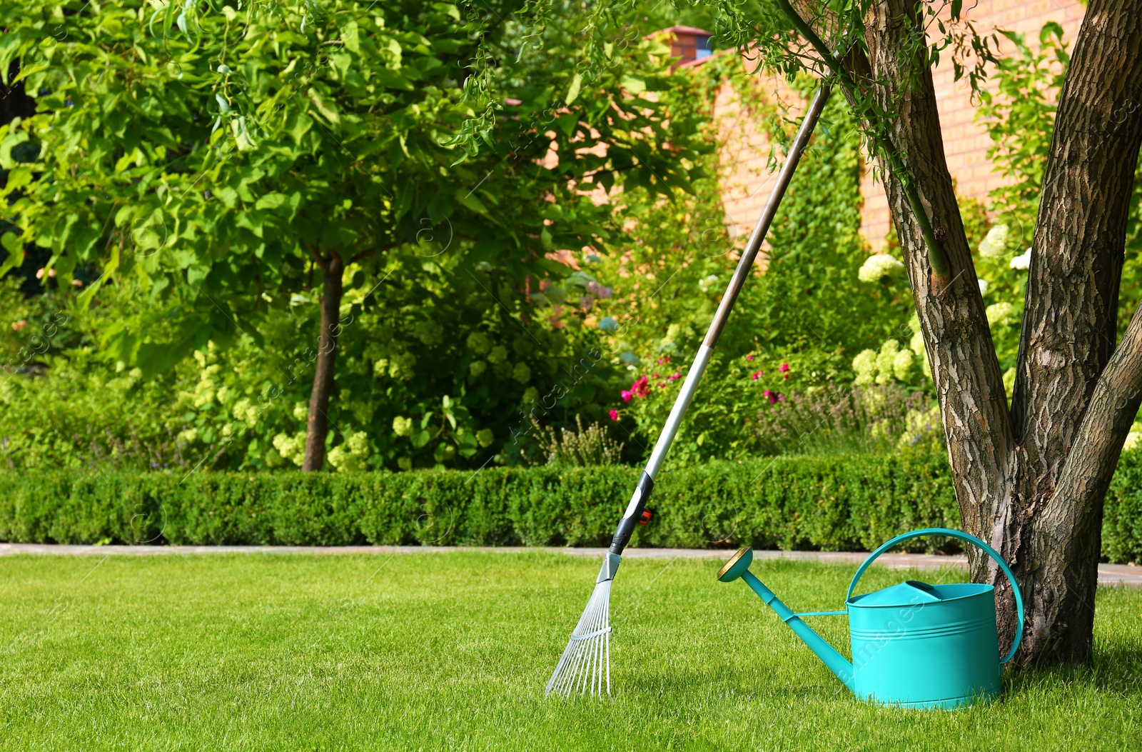 Photo of Rake and watering can near tree on green lawn. Gardening tools