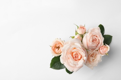 Photo of Beautiful roses and space for text on white background, top view