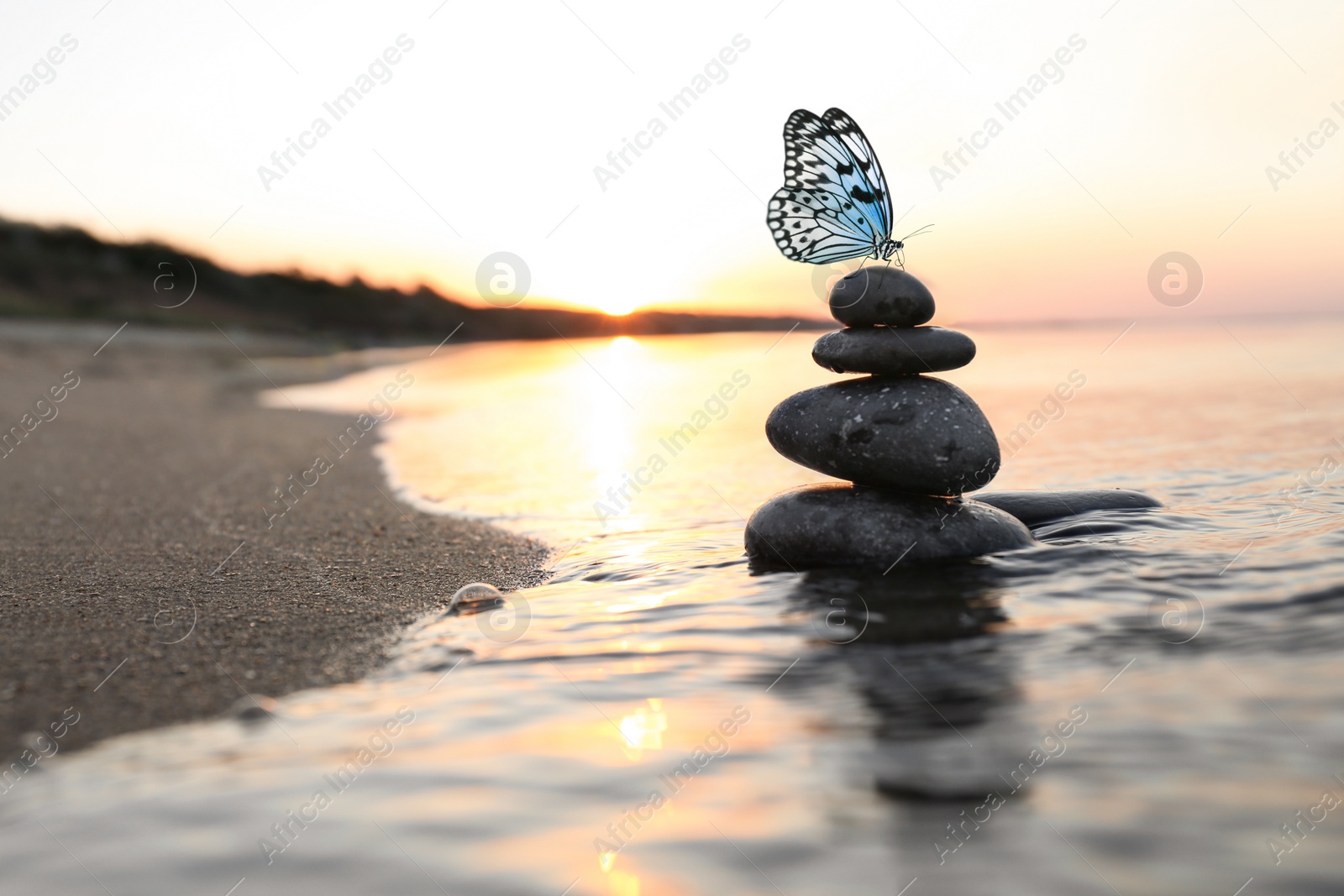 Image of Beautiful butterfly and stones on sandy beach near sea at sunset. Zen concept