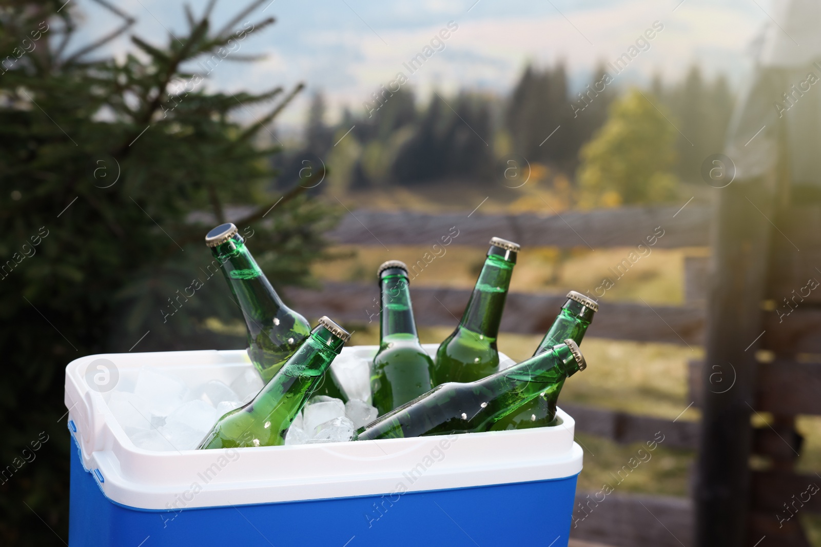 Photo of Cool box with bottles of beer in nature