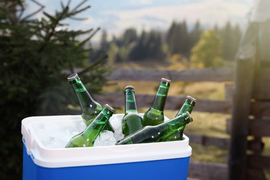 Cool box with bottles of beer in nature