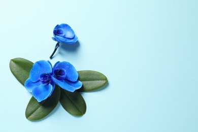 Photo of Beautiful orchid flowers with leaves on color background, top view with space for text. Tropical plant