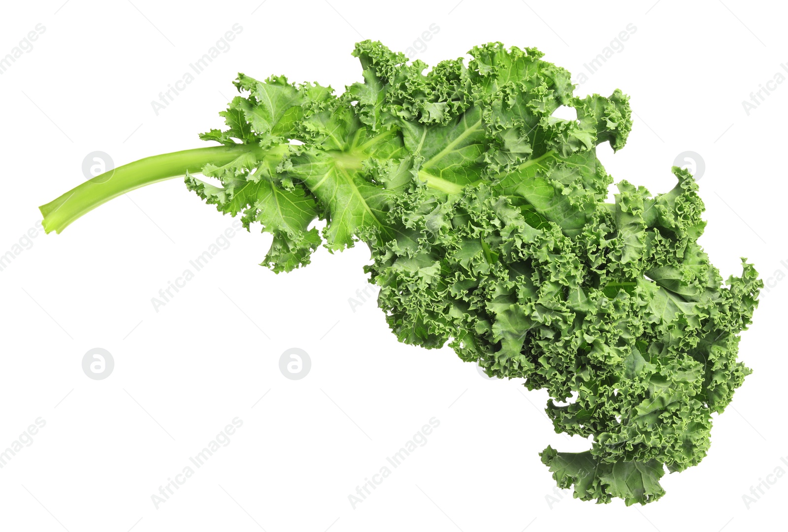 Photo of Fresh green kale leaf isolated on white