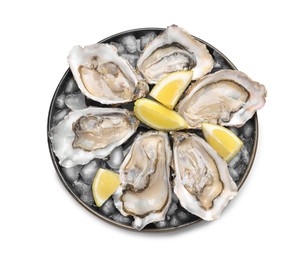 Photo of Fresh raw oysters served on white background, top view